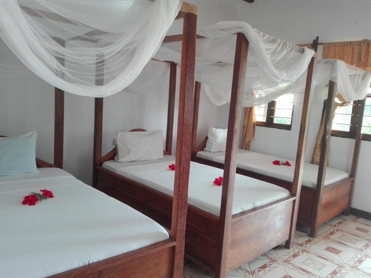 Ames Nungwi Bed & Breakfast エクステリア 写真