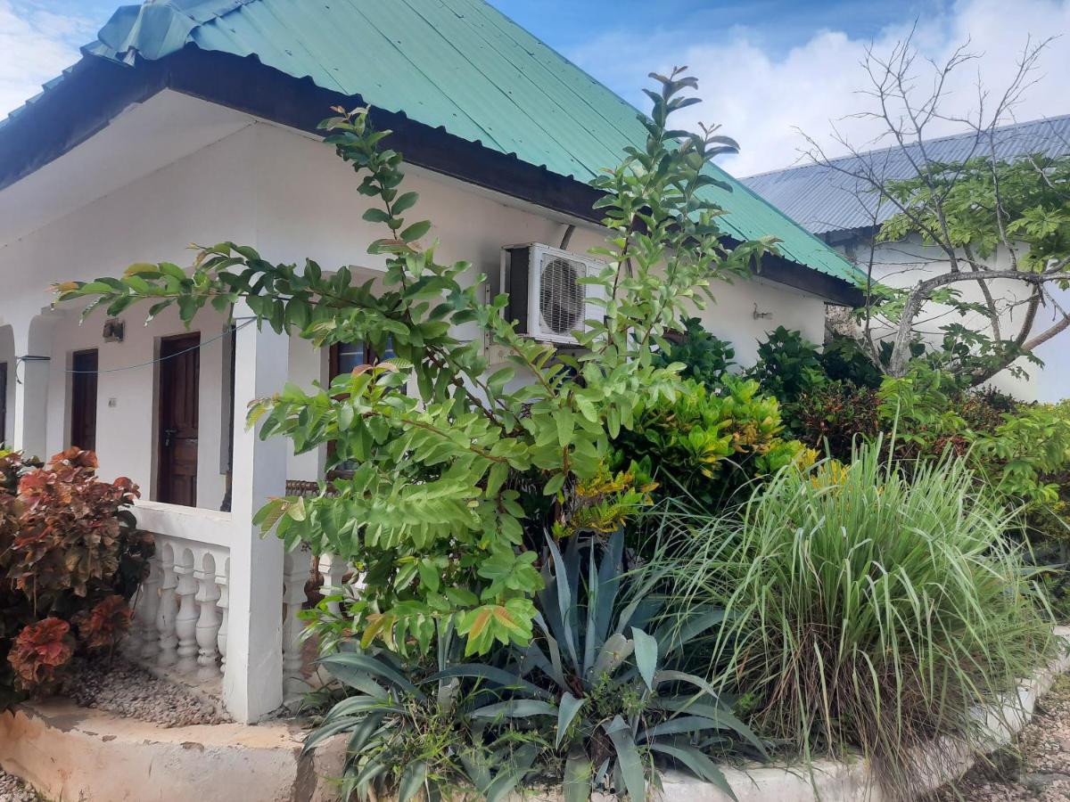 Ames Nungwi Bed & Breakfast エクステリア 写真