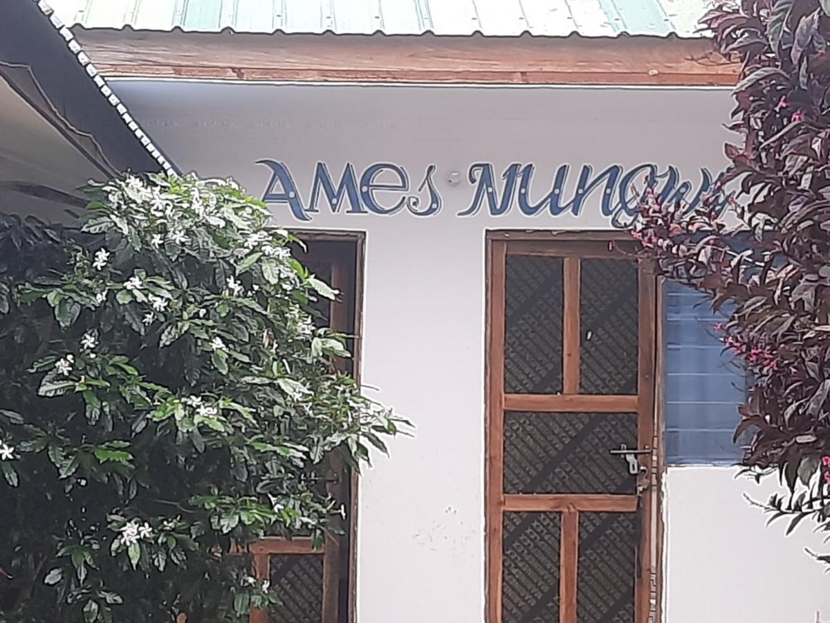 Ames Nungwi Bed & Breakfast エクステリア 写真