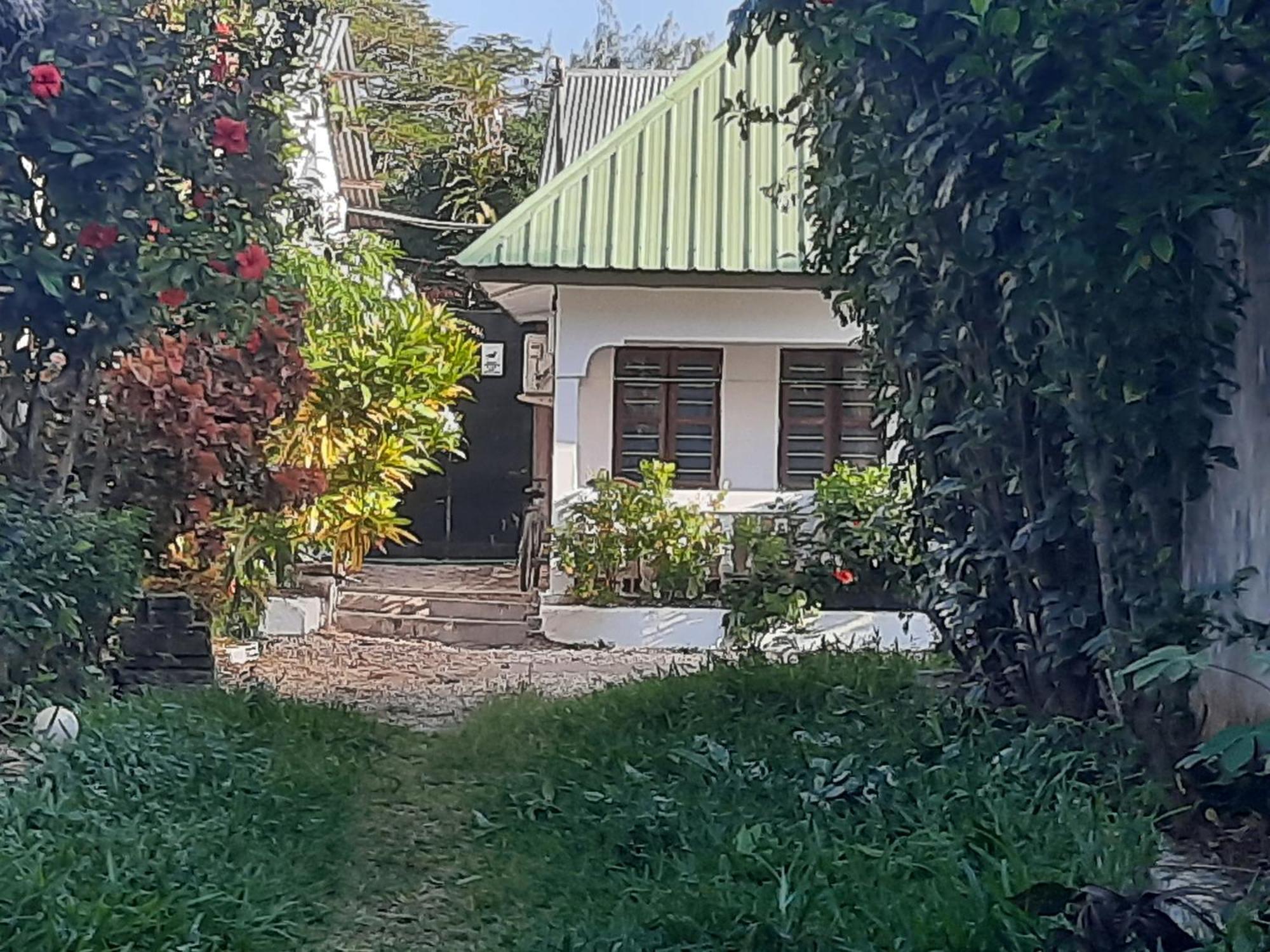 Ames Nungwi Bed & Breakfast エクステリア 写真