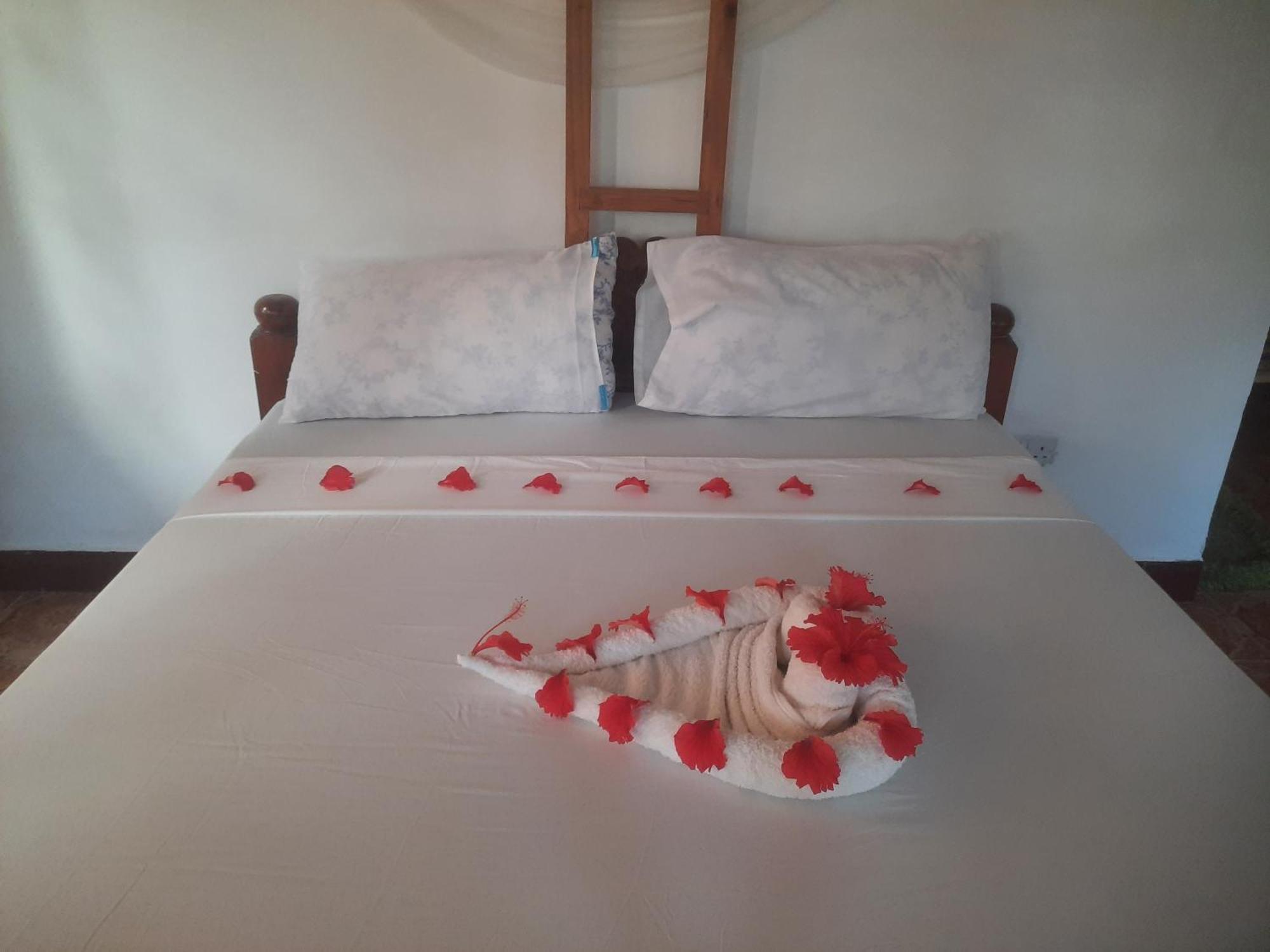 Ames Nungwi Bed & Breakfast エクステリア 写真